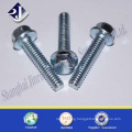 Good Quanlity Flange Bolt 4.8